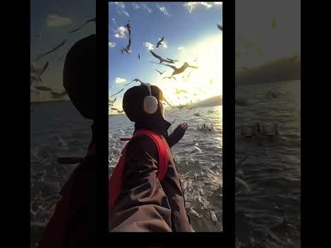 #Tere isqe main pagal #treanding Video #viralvideos #beautiful #viralvideos