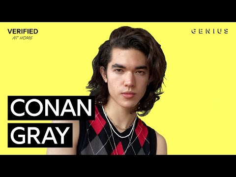 Conan Gray "Heather" Official Lyrics & Meaning | Verified