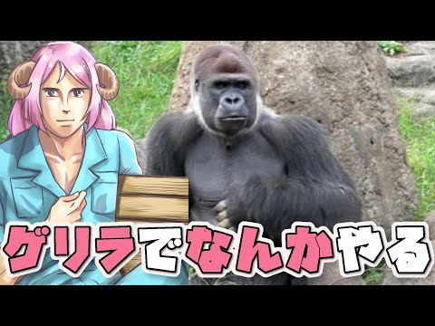 thumbnail_SspWKQYl4cY