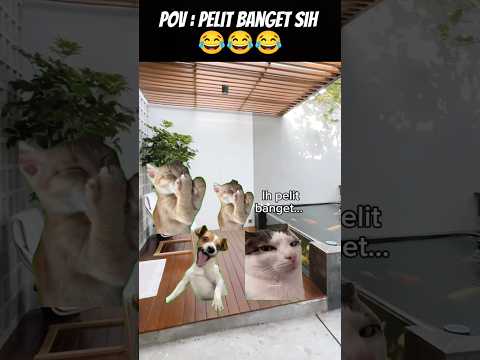 Pov : Pelit Amat Sih 😂 #meme #cat #kucing #funny #animation