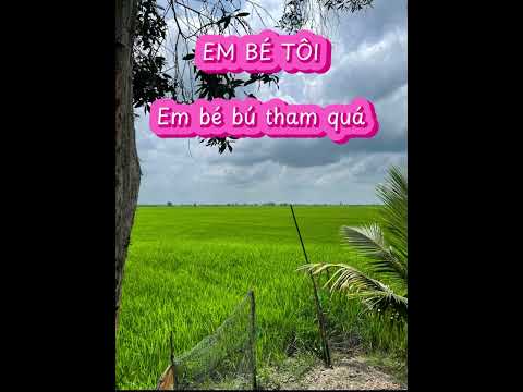 Em bé tôi - Em bé bú tham quá #Embétôi #TraiOi
