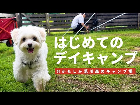 【犬連れキャンプ】愛犬と4歳娘、初キャンプでテンションMAX!川遊びも満喫