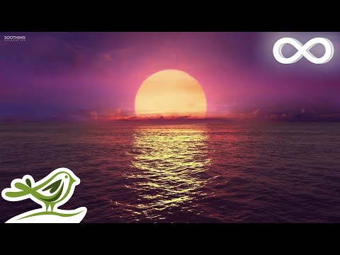 8 Hours of Relaxing Sleep Music: Ocean Waves, Relaxing Music, Sleeping Music, Calming Music ★146 - UCjzHeG1KWoonmf9d5KBvSiw