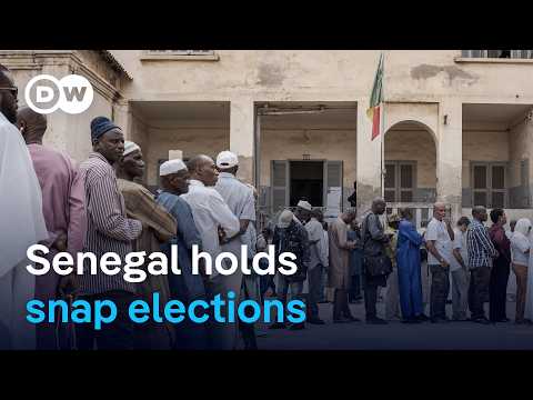 Senegal holds snap elections after the president dissolved parliament | DW News