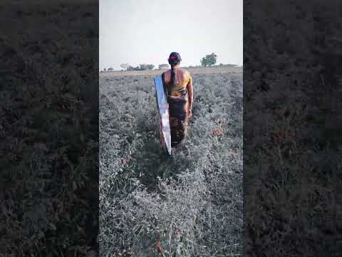 malla Reddy song pls support me friends