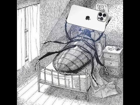 ME BOTARON DE MI CASA