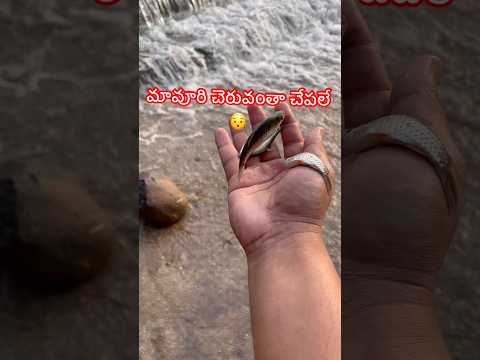 చెరువు దగ్గర ఎగురుతున్న చేపలు #fishing #fish #villagelife #village #shorts #trending #fishingvideo