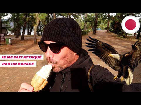 JE ME SUIS FAIT AGRESSÉ AU JAPON ! ???????? (AMANOHASHIDATE) #69