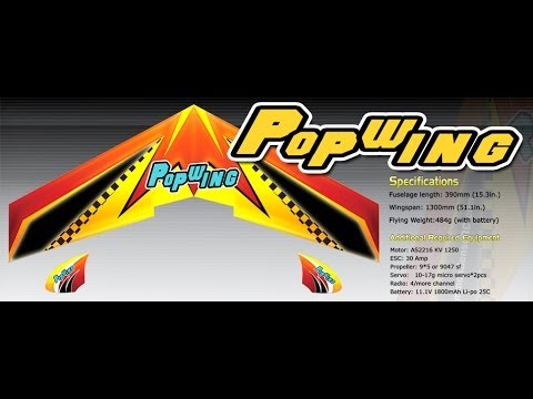 TechOne Hobby Popwing-1300 - About and Test Flight - UCz3LjbB8ECrHr5_gy3MHnFw