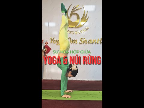 Yoga & Sức Khỏe Tự Nhiên | Thông Báo Hợp Nhất Kênh Sản Vật Vùng Cao Và Phượng Hà Yoga