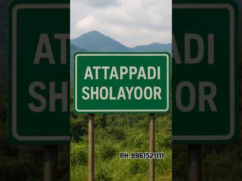 ARACANUT SEEDLINGS FOR SALE#agriculture#seeds#plants#farming#trending#trend#attappadi#reels#travel