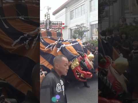 #shorts 仲乃内の幌獅子　石岡のおまつり