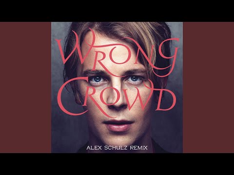 Wrong Crowd (Alex Schulz Remix)