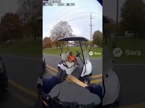 This raccoon hyjacked the golf cart and fled on foot 😳