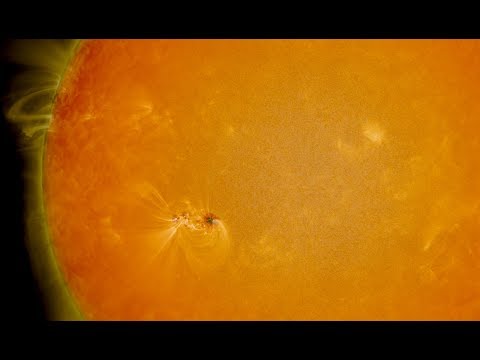 Two Weeks in the Life of a Sunspot - UCAY-SMFNfynqz1bdoaV8BeQ