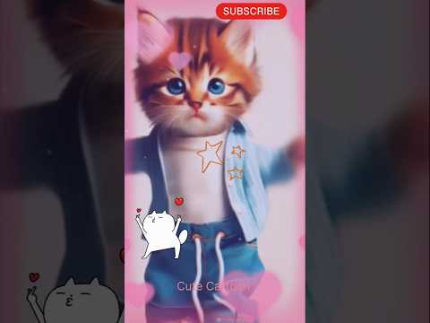 funny cat dance 🥰😻|Cat dance|#shorts #cat #catvideos #usacats #cutecartoon