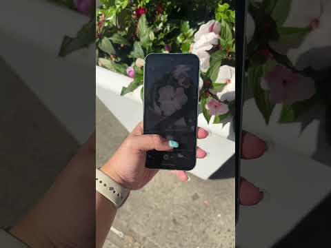 Which Takes Better Photos? Google Pixel 8A vs. Apple iPhone 15 Pro