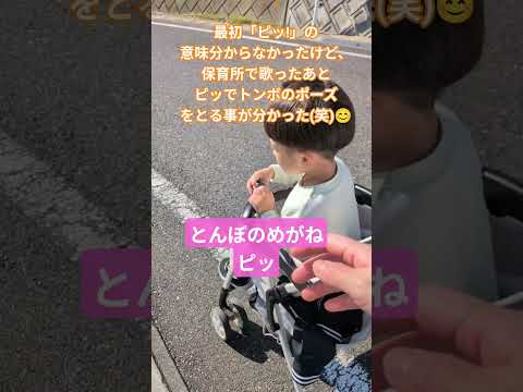 とんぼのめがねピッ! #shorts #japan #korea #可愛い #成長 #成長記録 #かわいい #love #子供 #song #cute #goodjob