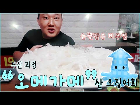 샤르르 녹는 오징어회 맛집-부산 괴정 오메가메 산오징어회-