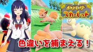 【ポケットモンスター スカーレット】大量発生！色違いのポケモンを集めよう！【水無月聖/VTuber】