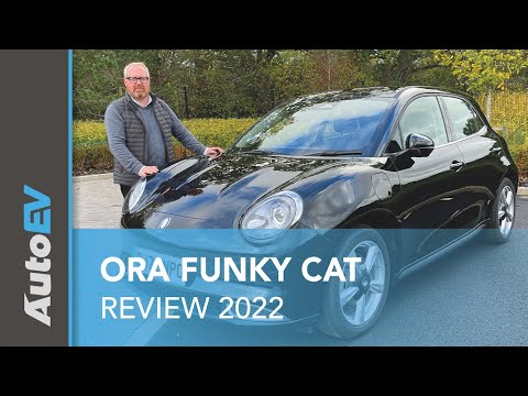 ORA Funky Cat - The Cat's whiskers?