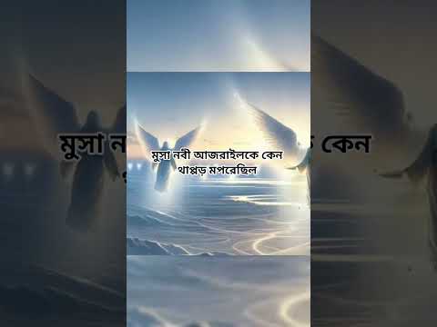 মুসা নবী আজরাইলকে কেন থাপ্পড় মেরেছিল#shorts #shortsvideo #islam #quran #foryou