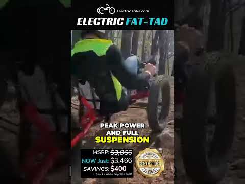 Conquer Trails with the Powerful Electric Fat Tad