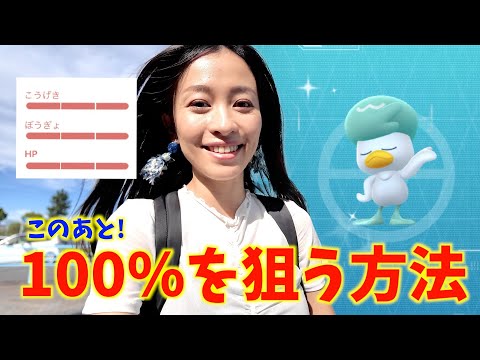 このあと100%を狙う方法！？色違いクワッスを探しながら、イオンモールのパートナーリサーチを入手しに行ってみたら・・・！？【ポケモンGO】