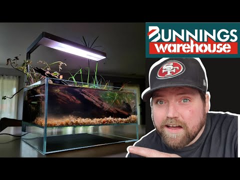 DIY Mini Planted Pond from Bunnings + BLOOPERS Today we went aquatic at a Bunnings the Hardware Store!

#bunnings #pond #plants