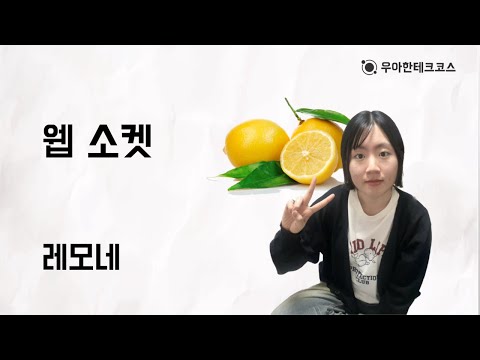 [10분 테코톡] 레모네의 웹 소켓