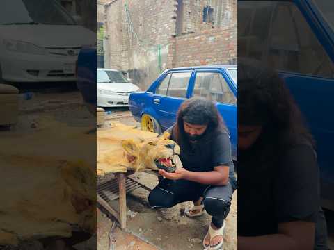 Simba🥹💔ya kya hogya Tujhe😭💔 #lion #animallife #broken #ytshorts #love #pets #yt #sad #love