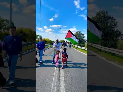 free palestine🇵🇸 #freepalestine