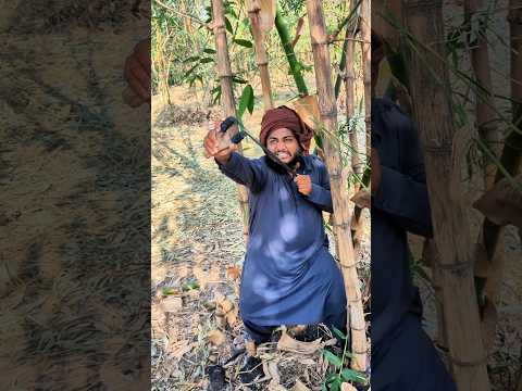 Birds ko bacha Liaa 😭🦜 #youtubeshorts #viralshorts