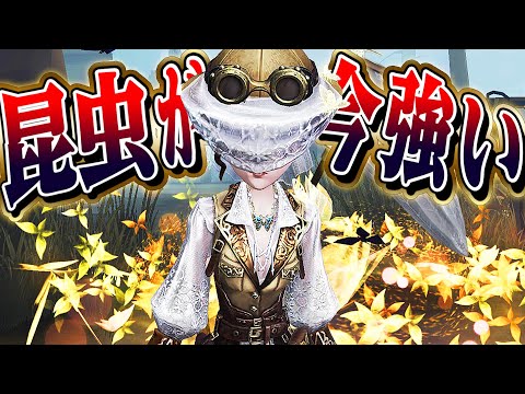 【第五人格】環境ハンターに有利を取りやすい昆虫学者が今熱い！【唯】【identityV】