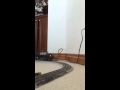 gregpokes1