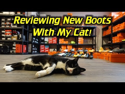 11 New Football Boots and 1 Cat! - UCUU3lMXc6iDrQw4eZen8COQ