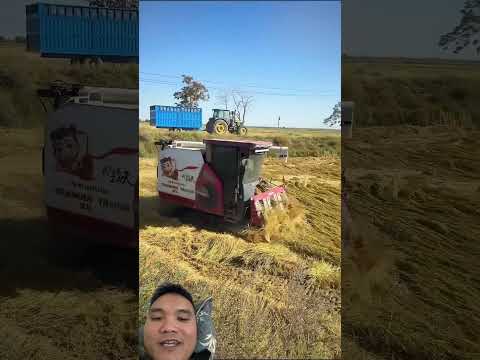 Máy Gặt Lúa Hiện Đại Của Trung Quốc #farming