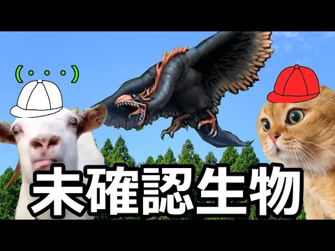 【猫ミーム】未確認生物UMA（ユーマ）