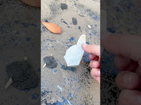 Distributor partners, we are looking for you! Join us to promote innovative products to offer users!