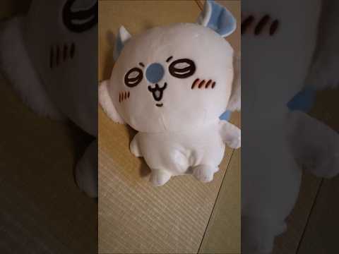 おしゃべりモモンガ