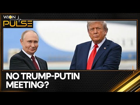 White House Denies Trump-Putin Meeting Plans | “No Summit Confirmed Yet” | WION Pulse