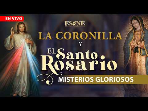 Hora Santa: Sanando las heridas del pasado