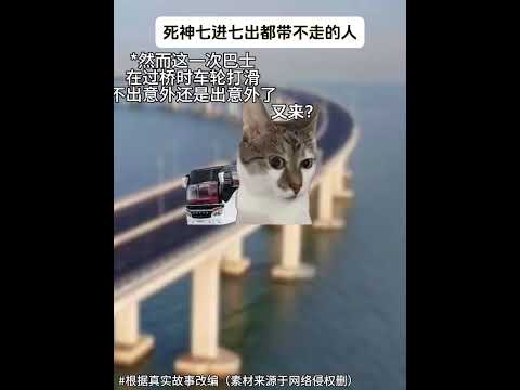猫の動画サムネイル - 世界上最幸运的男人，死神七进七出都没把他带走，最后一次更加离谱#有趣 #猫meme #猫meme剧场 #猫meme小剧场 #内容过于真实  #故事 #貓 #猫猫meme小剧场 #喵不可言