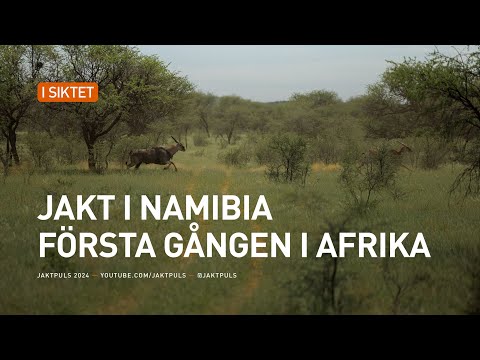 Jakt i Namibia, första gången i Afrika. ENG SUB