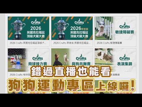 錯過直播也能看 狗狗運動專區上線囉！/愛爾達電視20260518