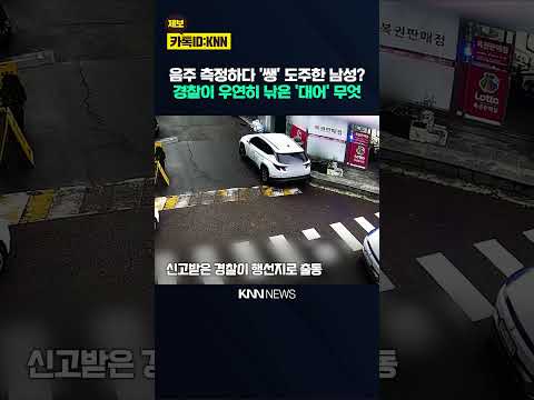 경찰이 <strong>우연히</strong> 낚은 '대어' 무엇 / KNN