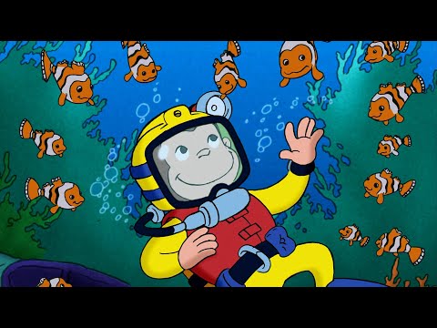 おさかながいっぱい!🐟 🐵 おさるのジョージ