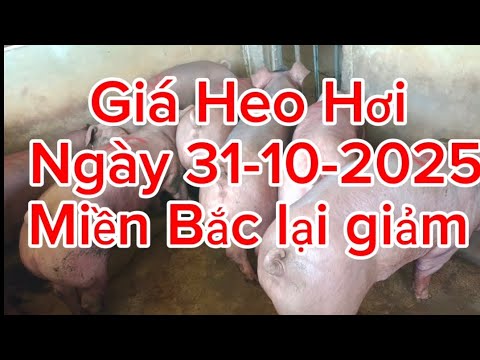 miền Bắc lại giảm