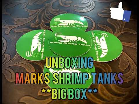 Marks Shrimp Tanks UNBOXING Music: Dayspring
Musician_ Firefl!es
Site_ https_//www.youtube.com/watch?v=eoplw2Cc3xc

Don’t forg