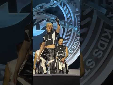 SO FREAKING COOL 🆒 🔥🔥🔥#bangchan #felix #leeknow #straykids #skz #concert #tour #shorts #viral